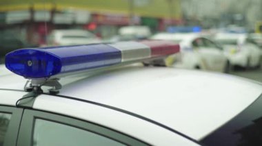 Polis teşhircisi devriye arabasının çatısında yanıp sönüyor.