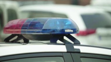 Polis teşhircisi devriye arabasının çatısında yanıp sönüyor.