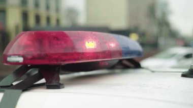 Polis teşhircisi devriye arabasının çatısında yanıp sönüyor.