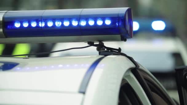 Polícia pisca piscar no telhado do carro de patrulha — Vídeo de Stock