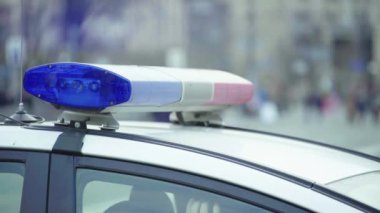 Polis teşhircisi devriye arabasının çatısında yanıp sönüyor.