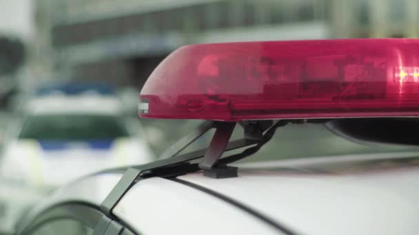 La policía parpadea en el techo del coche patrulla — Vídeos de Stock