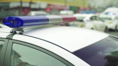 Polis teşhircisi devriye arabasının çatısında yanıp sönüyor.