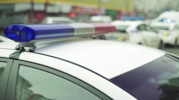 La policía parpadea en el techo del coche patrulla — Vídeo de stock