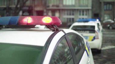 Polis teşhircisi devriye arabasının çatısında yanıp sönüyor.
