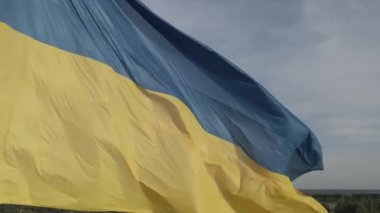 Ukrayna bayrağı. Ağır çekim. Kyiv. Hava, düz, gri