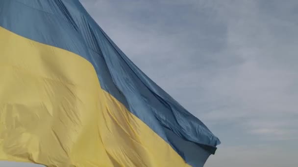 우크라이나 국기. 느린 동작. 키프. 공중에서, 평평하고, 회색 — 비디오