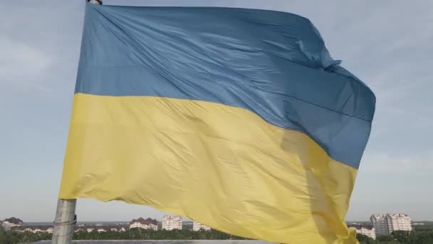 Flag of Ukraine. Slow motion. Kyiv. Aerial, flat, gray — Stock Video