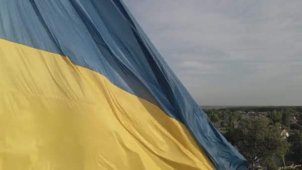 Bandera de Ucrania. En cámara lenta. Kiev. Aérea, plana, gris — Vídeo de stock