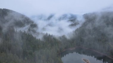 Dağlarda sis var. Sonbaharda Karpat Dağları 'nın havadan görünüşü. Ukrayna