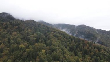 Dağlarda sis var. Sonbaharda Karpat Dağları 'nın havadan görünüşü. Ukrayna