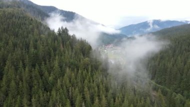 Dağlarda sis var. Sonbaharda Karpat Dağları 'nın havadan görünüşü. Ukrayna
