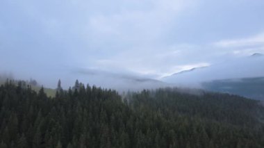 Dağlarda sis var. Sonbaharda Karpat Dağları 'nın havadan görünüşü. Ukrayna