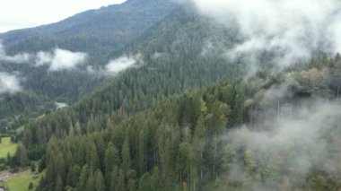 Dağlarda sis var. Sonbaharda Karpat Dağları 'nın havadan görünüşü. Ukrayna