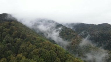 Dağlarda sis var. Sonbaharda Karpat Dağları 'nın havadan görünüşü. Ukrayna
