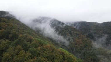 Dağlarda sis var. Sonbaharda Karpat Dağları 'nın havadan görünüşü. Ukrayna