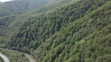 Dağlardaki orman. Sonbaharda Karpat Dağları 'nın havadan görünüşü. Ukrayna