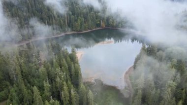 Dağ Gölü Synevyr. Sonbaharda Karpat Dağları 'nın havadan görünüşü. Ukrayna