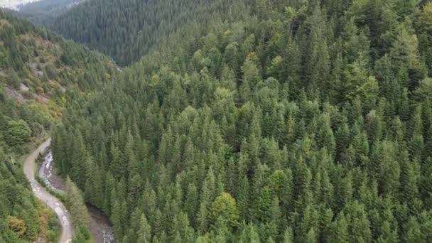 Foresta in montagna. Veduta aerea dei Carpazi in autunno. Ucraina — Video Stock