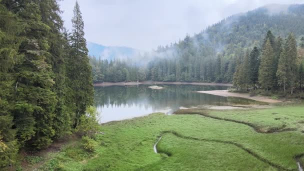 山湖Synevyr 。秋天喀尔巴阡山脉的空中景观.乌克兰 — 图库视频影像