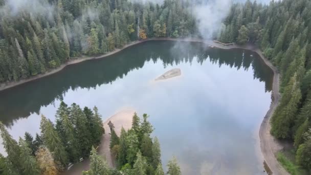 山湖Synevyr 。秋天喀尔巴阡山脉的空中景观.乌克兰 — 图库视频影像