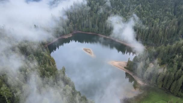 山湖Synevyr 。秋天喀尔巴阡山脉的空中景观.乌克兰 — 图库视频影像