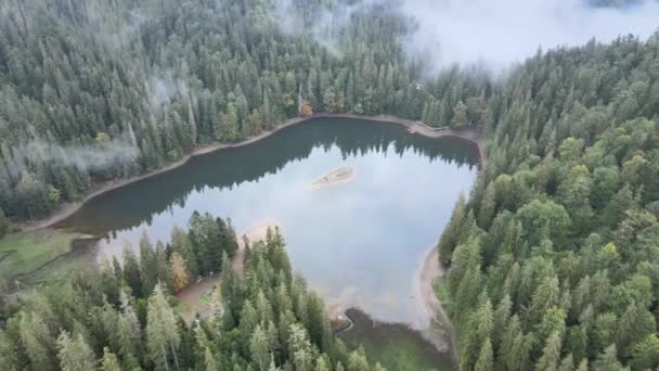 山湖Synevyr 。秋天喀尔巴阡山脉的空中景观.乌克兰 — 图库视频影像