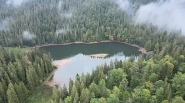 Dağ Gölü Synevyr. Sonbaharda Karpat Dağları 'nın havadan görünüşü. Ukrayna