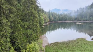 Dağ Gölü Synevyr. Sonbaharda Karpat Dağları 'nın havadan görünüşü. Ukrayna