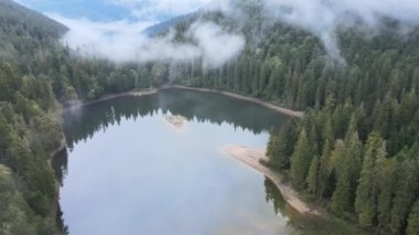 Dağ Gölü Synevyr. Sonbaharda Karpat Dağları 'nın havadan görünüşü. Ukrayna
