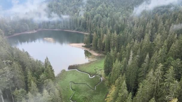 Bergsee Synevyr. Luftaufnahme der Karpaten im Herbst. Ukraine — Stockvideo