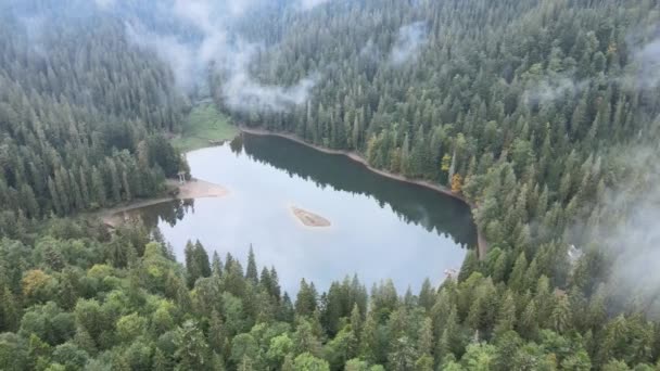 Bergsee Synevyr. Luftaufnahme der Karpaten im Herbst. Ukraine — Stockvideo