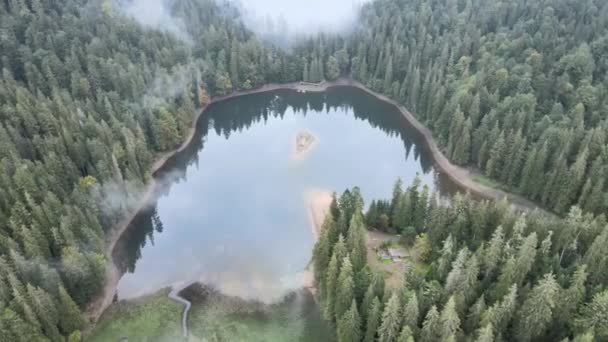 Bergsee Synevyr. Luftaufnahme der Karpaten im Herbst. Ukraine — Stockvideo