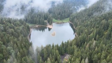 Dağ Gölü Synevyr. Sonbaharda Karpat Dağları 'nın havadan görünüşü. Ukrayna