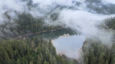 Dağ Gölü Synevyr. Sonbaharda Karpat Dağları 'nın havadan görünüşü. Ukrayna