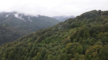 Sonbaharda Karpat Dağları 'nın havadan görünüşü. Ukrayna