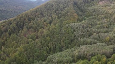 Sonbaharda Karpat Dağları 'nın havadan görünüşü. Ukrayna