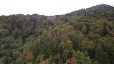 Sonbaharda Karpat Dağları 'nın havadan görünüşü. Ukrayna