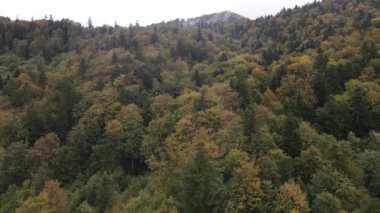 Sonbaharda Karpat Dağları 'nın havadan görünüşü. Ukrayna
