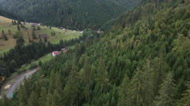 Sonbaharda Karpat Dağları 'nın havadan görünüşü. Ukrayna