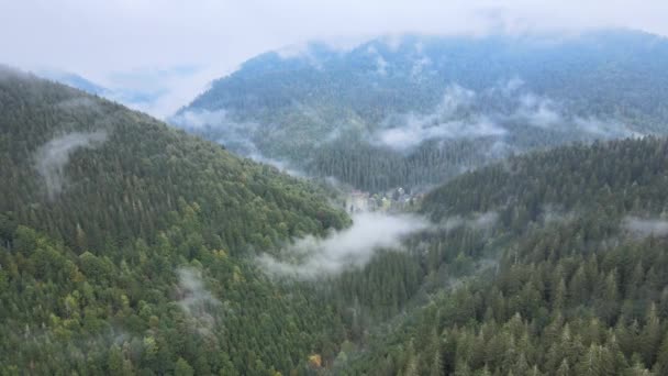 Vue aérienne des Carpates en automne. Ukraine — Video