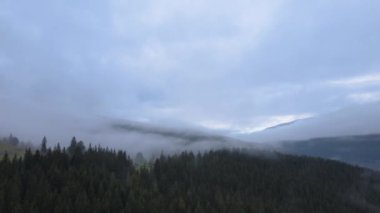 Sonbaharda Karpat Dağları 'nın havadan görünüşü. Ukrayna