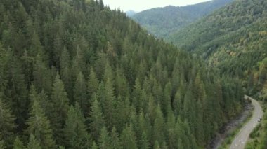 Sonbaharda Karpat Dağları 'nın havadan görünüşü. Ukrayna