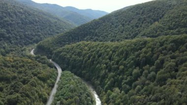 Sonbaharda Karpat Dağları 'nın havadan görünüşü. Ukrayna