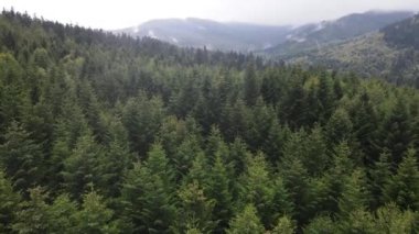 Sonbaharda Karpat Dağları 'nın havadan görünüşü. Ukrayna