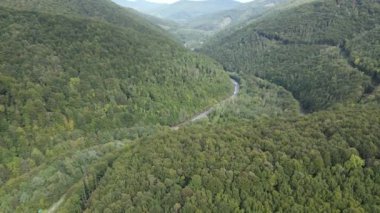 Sonbaharda Karpat Dağları 'nın havadan görünüşü. Ukrayna
