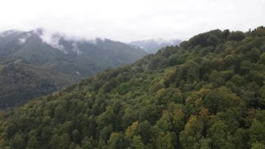 Sonbaharda Karpat Dağları 'nın havadan görünüşü. Ukrayna