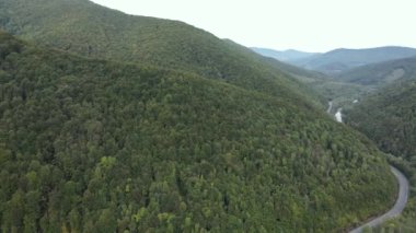 Sonbaharda Karpat Dağları 'nın havadan görünüşü. Ukrayna
