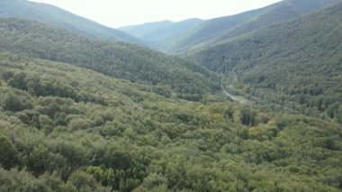 Sonbaharda Karpat Dağları 'nın havadan görünüşü. Ukrayna