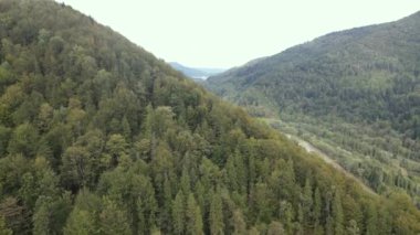 Sonbaharda Karpat Dağları 'nın havadan görünüşü. Ukrayna